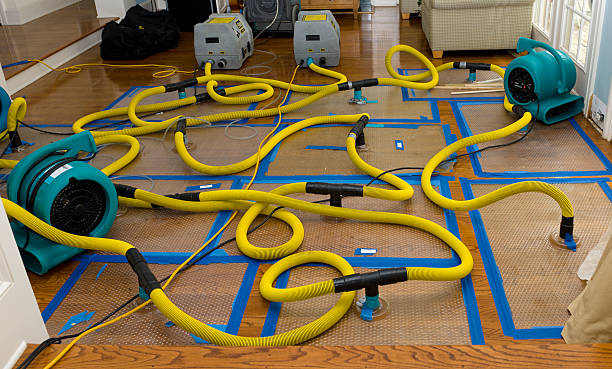 Professional Crawl Space Water Removal technician working in Avalon, WI